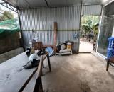 Đất ruộng SXNN, 243m2, mt10m, 1.25 tỷ, 3 xe ô tô tránh, vỉa hè, nhà C4.Kim Chung, Đông Anh