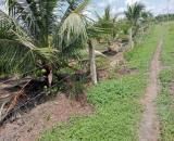 5công đất ấp 2,Tam Hiệp,Châu Thành,Tiền Giang. Nay là xã Long Hưng,Đồng Tháp