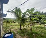 bán 1,2 hecta có sẵn nhà vườn Bưởi, Sầu Rêng đã cho thu, đường oto xã Khánh Phú