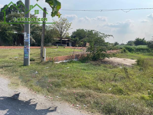 Bán đất xã Tân Mỹ, Đức Hòa dt 385m2 ( có 165m2 thổ ) đường đá xanh 5m giá 1,9 tỷ - 3