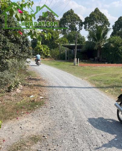 Bán đất xã Tân Mỹ, Đức Hòa dt 385m2 ( có 165m2 thổ ) đường đá xanh 5m giá 1,9 tỷ