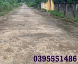 Chính chủ cần bán đất trồng trồng trọt  đã có sổ đỏ tại xã Cẩm Tú, Thanh Hoá, 0395551486