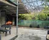 Đất ruộng hơn 600m2, mt13m, 1.45 tỷ. Xe tải, Bắc Hồng, Đông Anh.