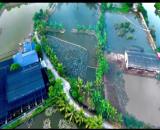 Bán lô đất 15.000 M Thuân Thiên Kiến Thụy Hải Phòng