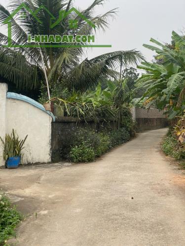💥BÁN GẤP LÔ ĐẤT HƯỚNG ĐẠO SÁT KCN TAM DƯƠNG DT107,7m2 MT5m sẵn sổ sang tên 1,2 tỷ - 3