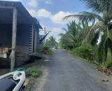 5x38m đất mặt tiền huyện lộ 38,Tam Hiệp,Châu Thành,Tiền Giang