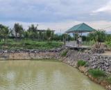 Bán đất vườn Diên Thọ đã lên mô hình farm sinh thái đang khai thác - gần Quốc Lộ 27C