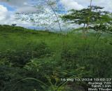 Bán đất 7,4 hecta - xã Tân Đức Bình Thuận Lâm Đồng, đường DT720, cơ hội đầu tư lớn, giá rẻ