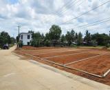 TRI ÂN CUỐI NĂM 1 CHỈ VÀNG - CHÍNH CHỦ - THẠCH THÀNH, THANH HOÁ - CHỈ HƠN 100TR - BAO LUÔN