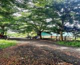 🧱 LÔ ĐẤT 4×16 LUNAVIA LONG HÒA – TỐI ƯU LÀM KHO ,XÂY NHÀ  HOẶC KHO XƯỞNG NHỎ