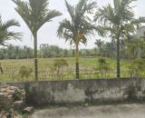 Bán lô đất DT 719 M.ngang 18 Tiên Minh Tiên Lãng HP