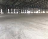 DN1. Cho thuê xưởng sản xuất 1500m2 trong KCN Nhơn Trạch - Tỉnh Đồng Nai