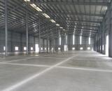 HM.  CHO THUÊ XƯỞNG 5488m² TRONG KHUÔN VIÊN 8.774m² TÂN PHÚ TRUNG - CỦ CHI