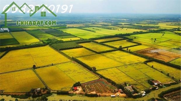 CƠ HỘI ĐẦU TƯ ĐẤT Trồng lúa nước Xã Cam Thành Bắc- Huyện Cam Lâm.  - 2794M2 GIÁ 650 TRIỆU