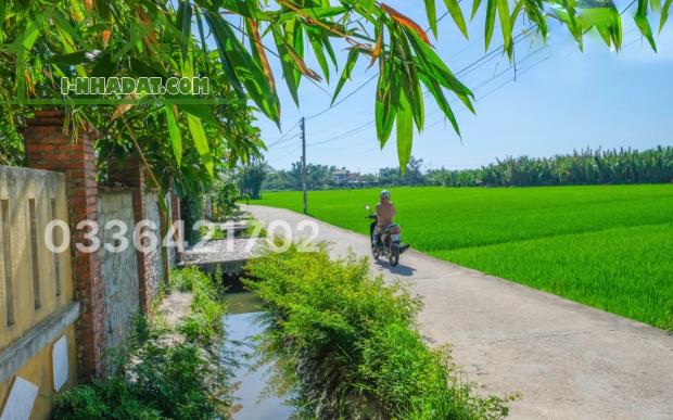 Siêu phẩm lô view lúa nở hậu sát chuỗi Resort Nam Hội An/Sổ hồng/195m2 - 1