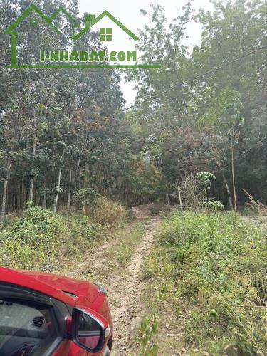 Chính chủ bán 2188m2 đất tại Hoà Lợi, Bến Cát.
