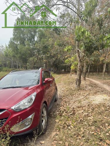 Chính chủ bán 2188m2 đất tại Hoà Lợi, Bến Cát. - 3
