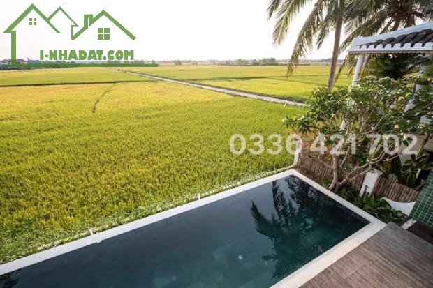 Lô đôi ngang 11m nở hậu view lúa cực chill giáp Resort ven sông Hội An - 2