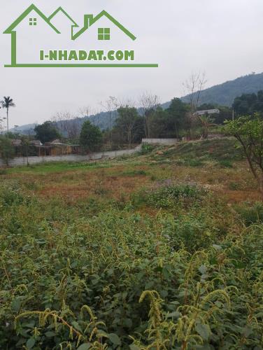 Cần bán đất Lương Sơn Hòa Bình dt: 2736m2, giá 6,8 tỷ - 3