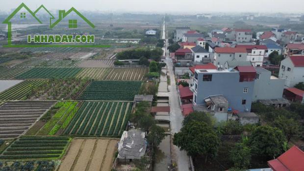 Bán 111.7m2 Lương Nỗ Tiên Dương Đông Anh Quy hoạch sát Vành đai 3 Tiềm năng tăng giá cao - 2