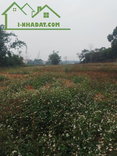 Đất Nhuận Trạch, Lương Sơn, Hòa Bình 1760m2, giá 9 tỷ - 5