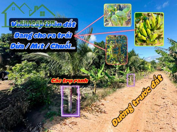 Xuân Phú-Eakar-Đắk Lắk view triệu đô gần 400m2 sẵn thổ cư đất giáp sông Krong Năng giá - 2