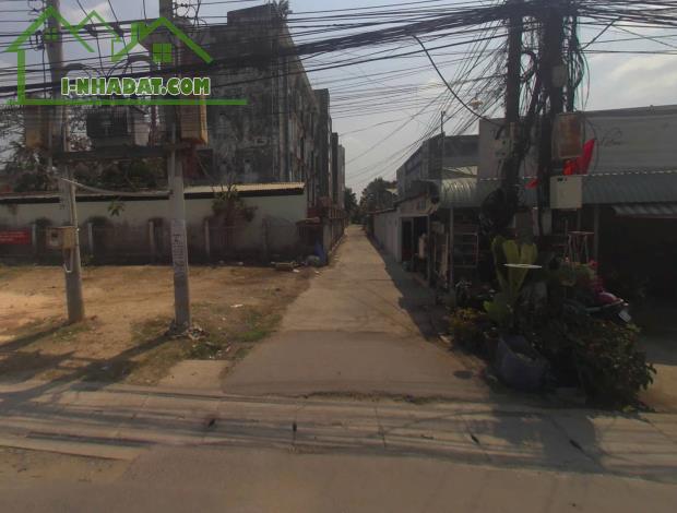 Bán đất Phú Thạnh, 1000m², có sẵn 150m² thổ cư, 2 mặt đường, 2 xuyệc Lý Thái Tổ - 4