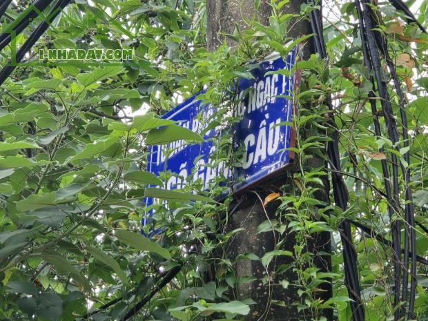 Nhỉnh 1.9 tỷ, 197m2, nhà cấp 4, TT quản lý cầu Thăng Long, Đông Ngạc, Bắc Từ Liêm, MUA BÁN - 2