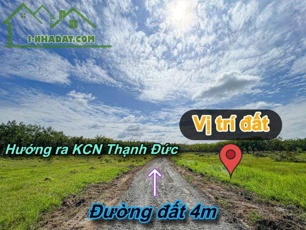 Thạnh Đức-Gò Dầu 1.5ha sẵn 2480m2 thổ cư đất kế kênh mát mẻ đường oto tới đất giá chỉ - 2