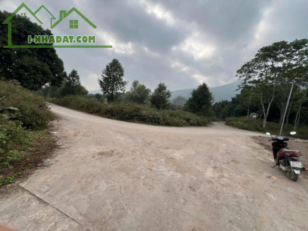 Bán nhanh đất  Lương Sơn, Hòa Bình 1557m2, giá 4 tỷ - 1