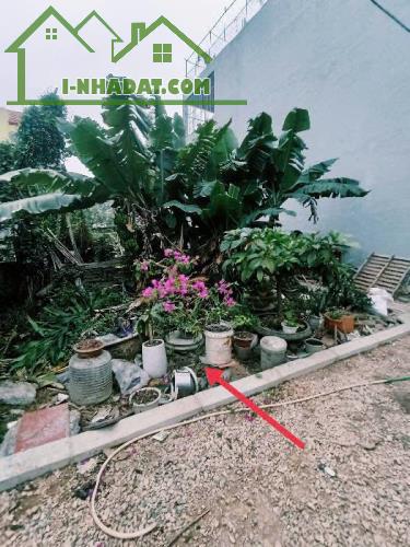 Bán đất thổ cư Thuận Tốn, Đa Tốn, Gia Lâm