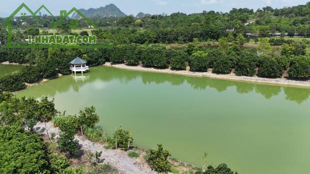 💫💥💥💥Cần chuyển nhượng lô đất 2,1 hecta tại Liên Sơn, Lương Sơn, Hòa Bình.   💫💥Trong