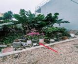 Bán đất thổ cư Thuận Tốn, Đa Tốn, Gia Lâm