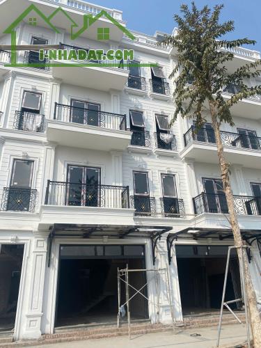 BÁN CĂN GÓC 111M2 LK4 , HƯỚNG ĐÔNG NAM KĐT ĐÔNG DƯƠNG RESIDENCE - 2