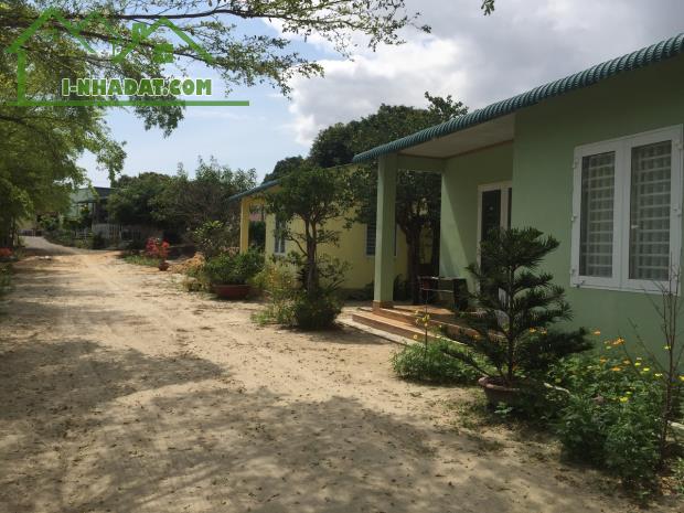 CẦN CHO THUÊ ĐẤT  VÀ NHÀ MT ĐƯỜNG ĐINH TIÊN HOÀNG PHÙ HỢP KINH DOANH ĐA NGÀNH NGHỀ - 1