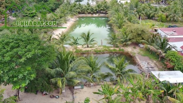 CẦN CHO THUÊ ĐẤT  VÀ NHÀ MT ĐƯỜNG ĐINH TIÊN HOÀNG PHÙ HỢP KINH DOANH ĐA NGÀNH NGHỀ - 3
