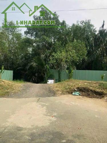 938m2 đất lúa quy hoạch dân cư xây dựng mới sát khu biệt thự savimex Phú Thuận Q7 16.5 tỷ - 4