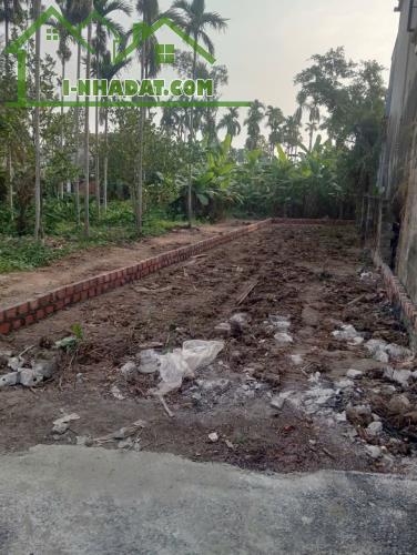ĐẤT ĐẸP - GIÁ TỐT - Vị Trí Đắc Địa Tại Hoàng Động, Thuỷ Nguyên, Hải Phòng - 1
