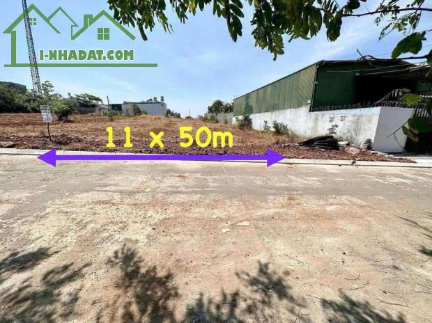 Đất mặt hẻm 442 Y Moan - 11 x 50m (pháp lý nông nghiệp)