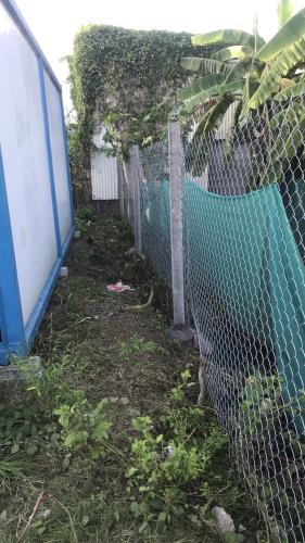 Bán đất trồng cây sổ chung đã có nhà tôn nhỏ 18m - 2