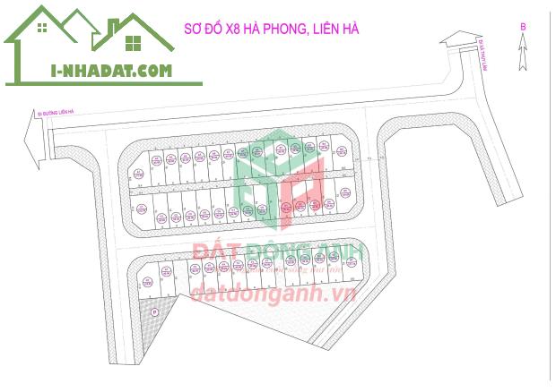 BÁN ĐẤT ĐẤU GIÁ X8 HÀ PHONG LIÊN HÀ ĐÔNG ANH - 90M2 - HẠ TẦNG SIÊU ĐẸP