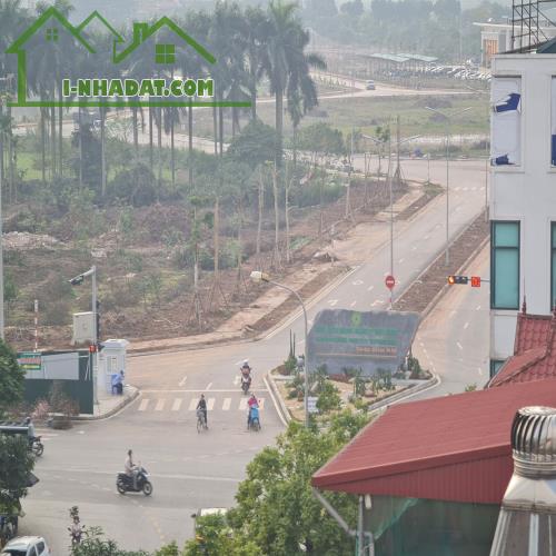 Bán Biệt Thự Đơn Lập Tặng 200m2 Đất Sổ Đỏ Tại Đa Tốn, Gia Lâm - GẤP LẮM RỒI! Lh 0989894845 - 2