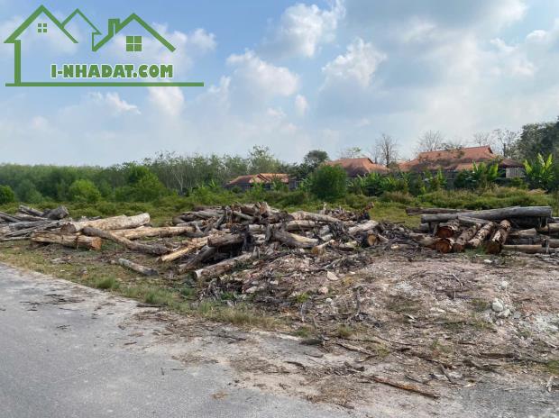 BÁN NHANH lô đất 268 mặt tiền nhựa 5m Thị trấn Long Hòa Dầu Tiếng - 1