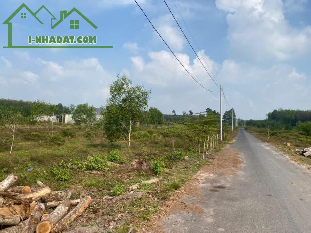BÁN NHANH lô đất 268 mặt tiền nhựa 5m Thị trấn Long Hòa Dầu Tiếng - 2