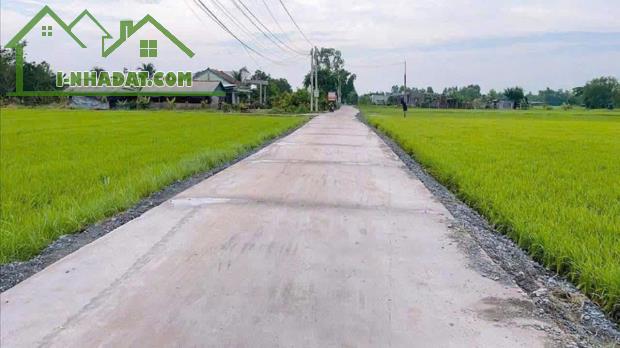 Bán đất giá mềm 5x31m( 155m2) giá 890 triệu , xã Hòa Khánh Đông, Đức Hòa, Long An. - 2