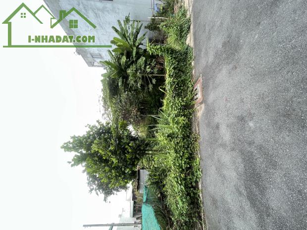 BÁN LÔ ĐẤT ĐẸP TẠI P. HIỆP HÒA, TP. BIÊN HÒA  Diện tích: 192m² (Ngang 13m x Dài 14,7m)