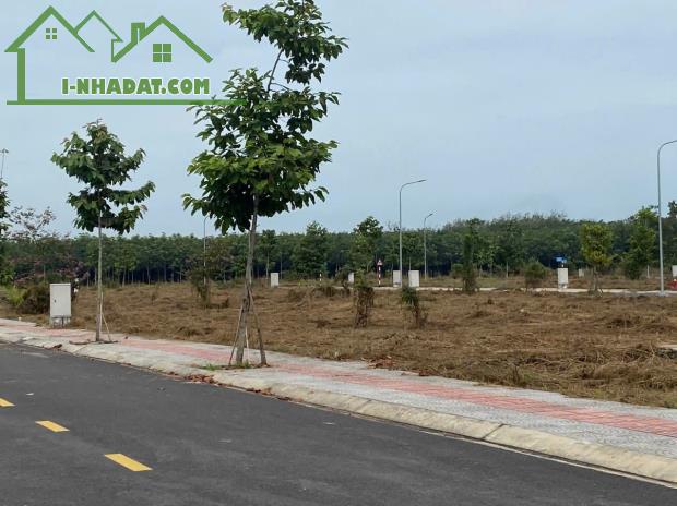 CẦN RA LÔ ĐẤT ĐẸP ĐƯỜNG TÂN HIỆP 10 - TÂN UYÊN - BÌNH DƯƠNG - 5