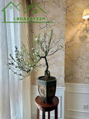 Bán nhà lô góc ngõ 7 Kim Mã Thượng, Ba Đình, mới xây, nhà đẹp, gara ô tô, 40m2, 11.98 tỷ - 3