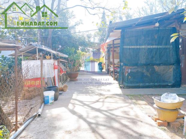 Bán Đất hẻm xe hơi đường Lang Biang, Thị trấn Lạc Dương, Lâm Đồng 401mv - 2