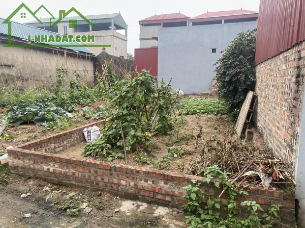 BÁN ĐẤT ĐƯỜNG NHẠN XUÂN NỘN ĐÔNG ANH - 57.4M2 - GIÁ ĐẦU TƯ CHỈ 5X - 2